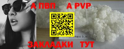 гидра Бердск