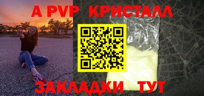 гидра Бердск