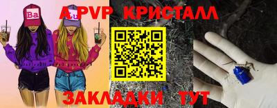 гидра Бердск