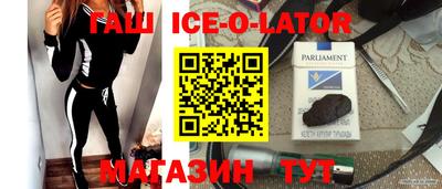 гидра Бердск