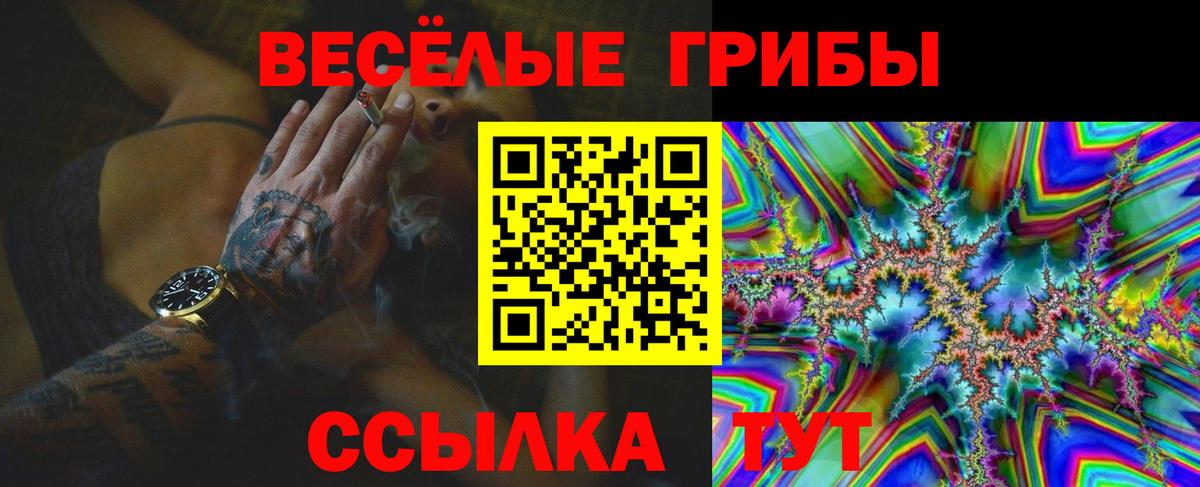 Псилоцибиновые грибы Psilocybine cubensis Гуково