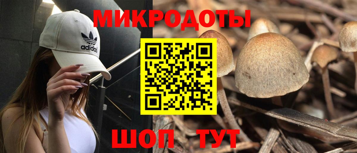 Псилоцибиновые грибы GOLDEN TEACHER  Вход с VPN  Гуково  Галлюциногенные грибы прущие грибы 